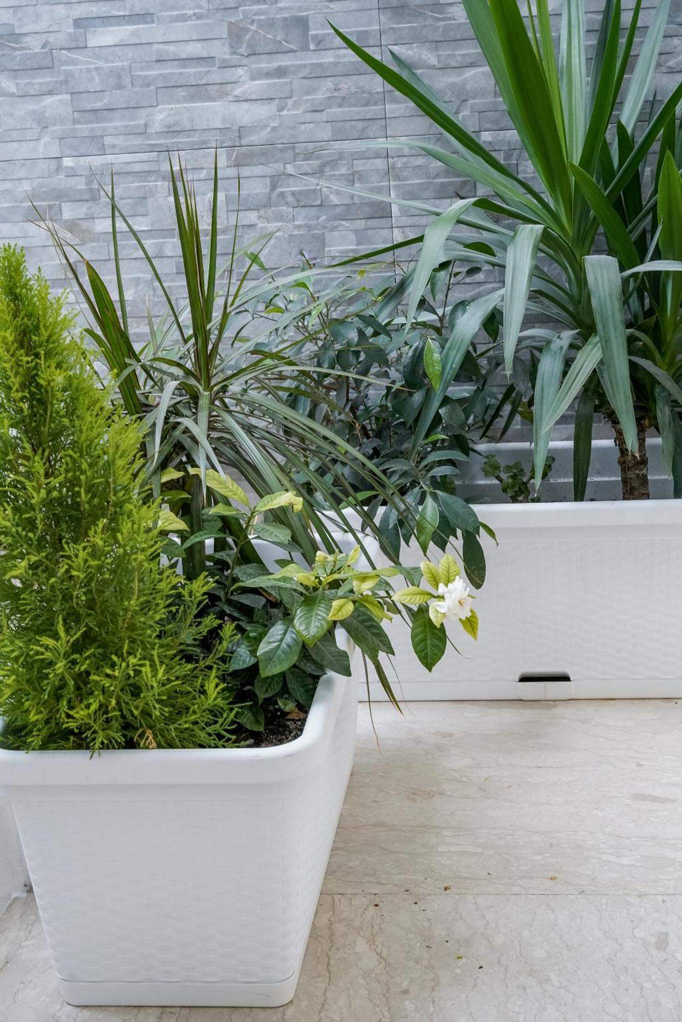 La Peonia B&B Ragusa Exteriér fotografie