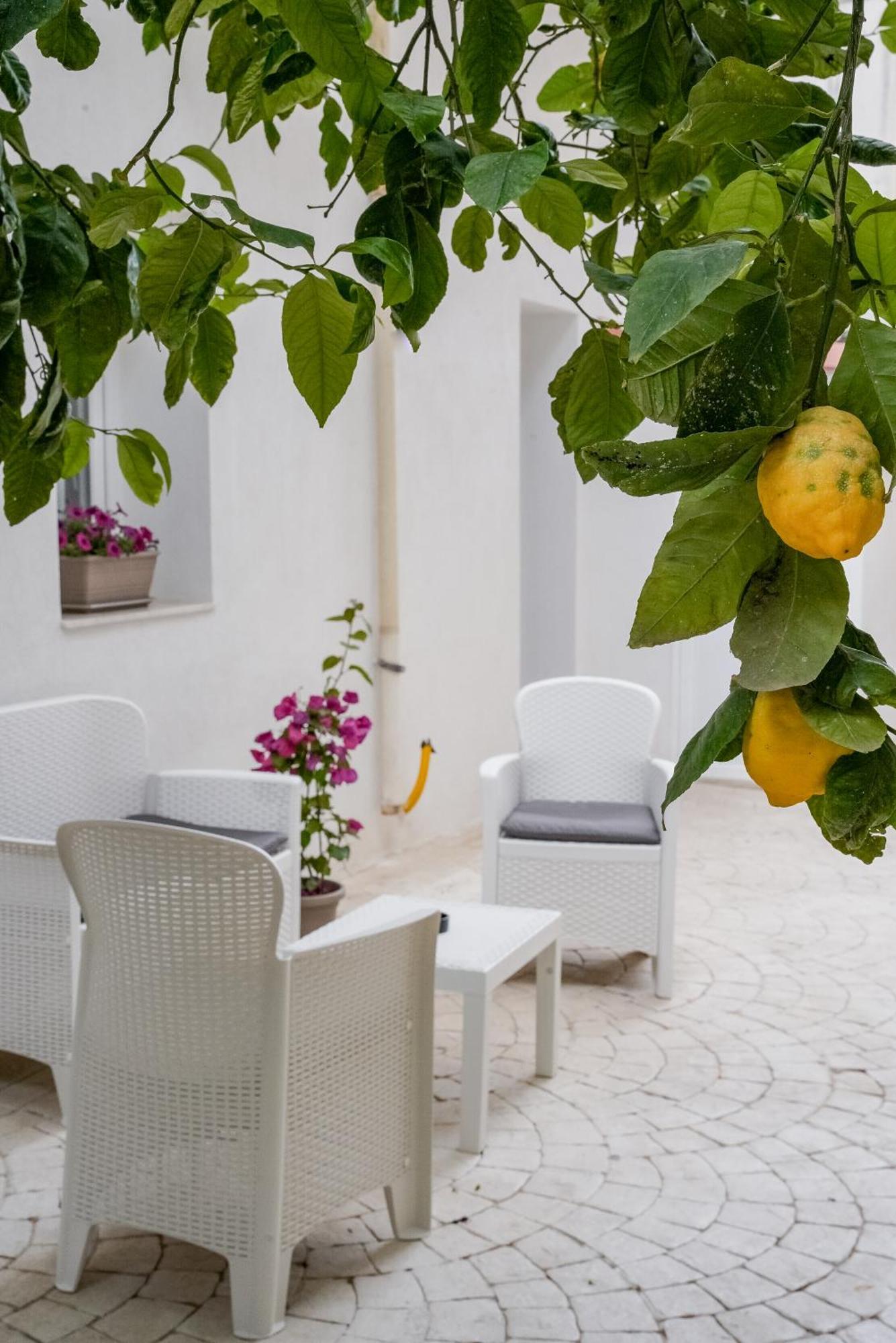 La Peonia B&B Ragusa Exteriér fotografie